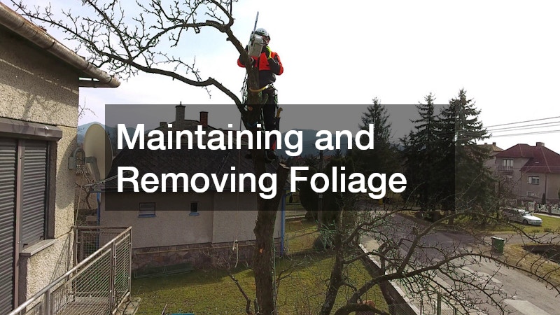 Maintaining and Removing Foliage